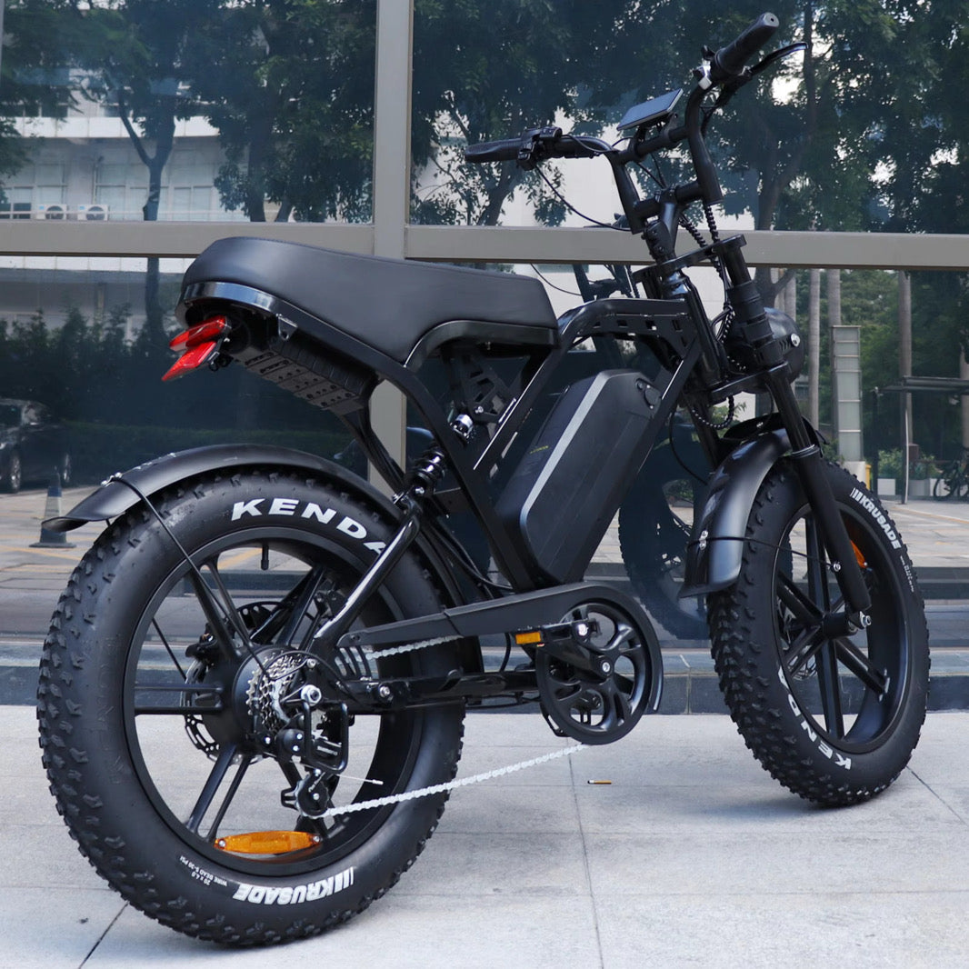 X80 Pro- Mon Fatbike