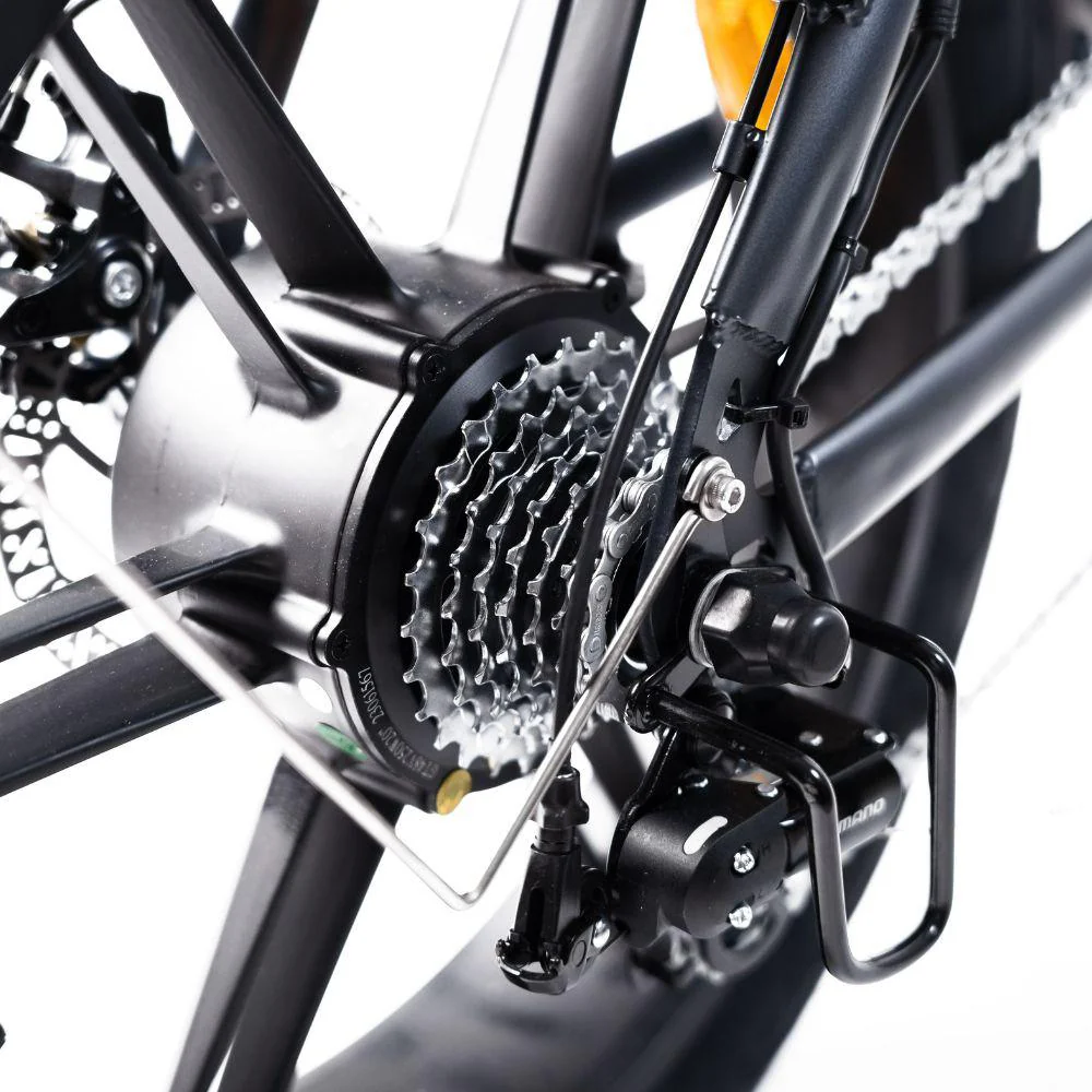 C80 Max - 2 Batteries