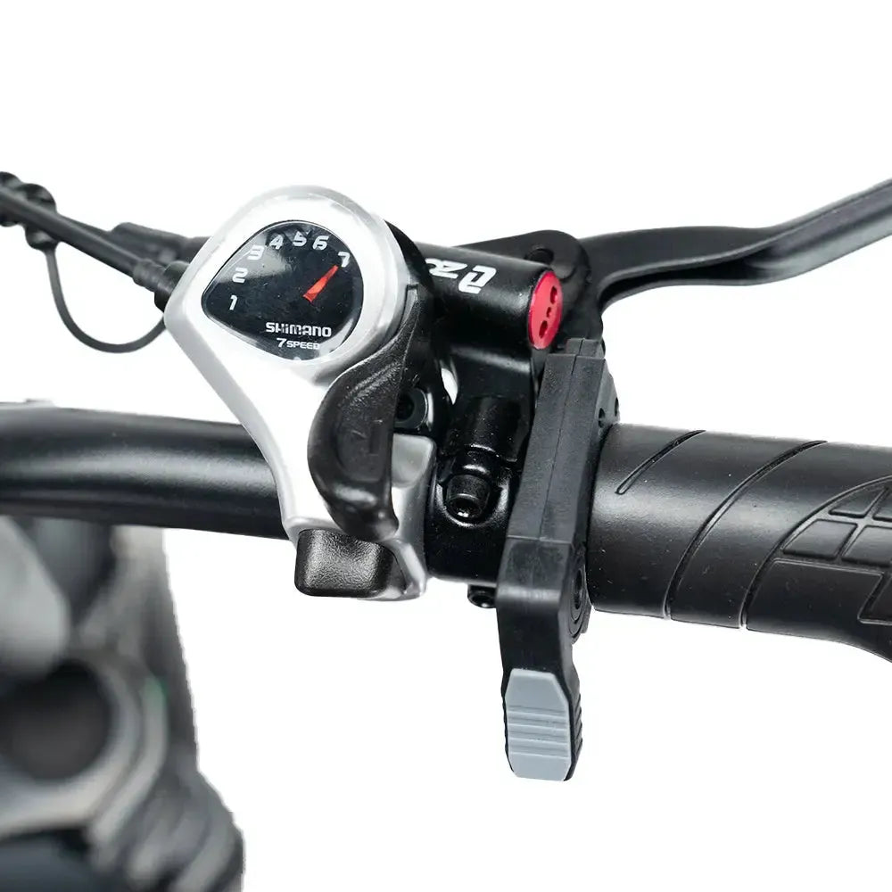 C80 Max - 2 Batteries