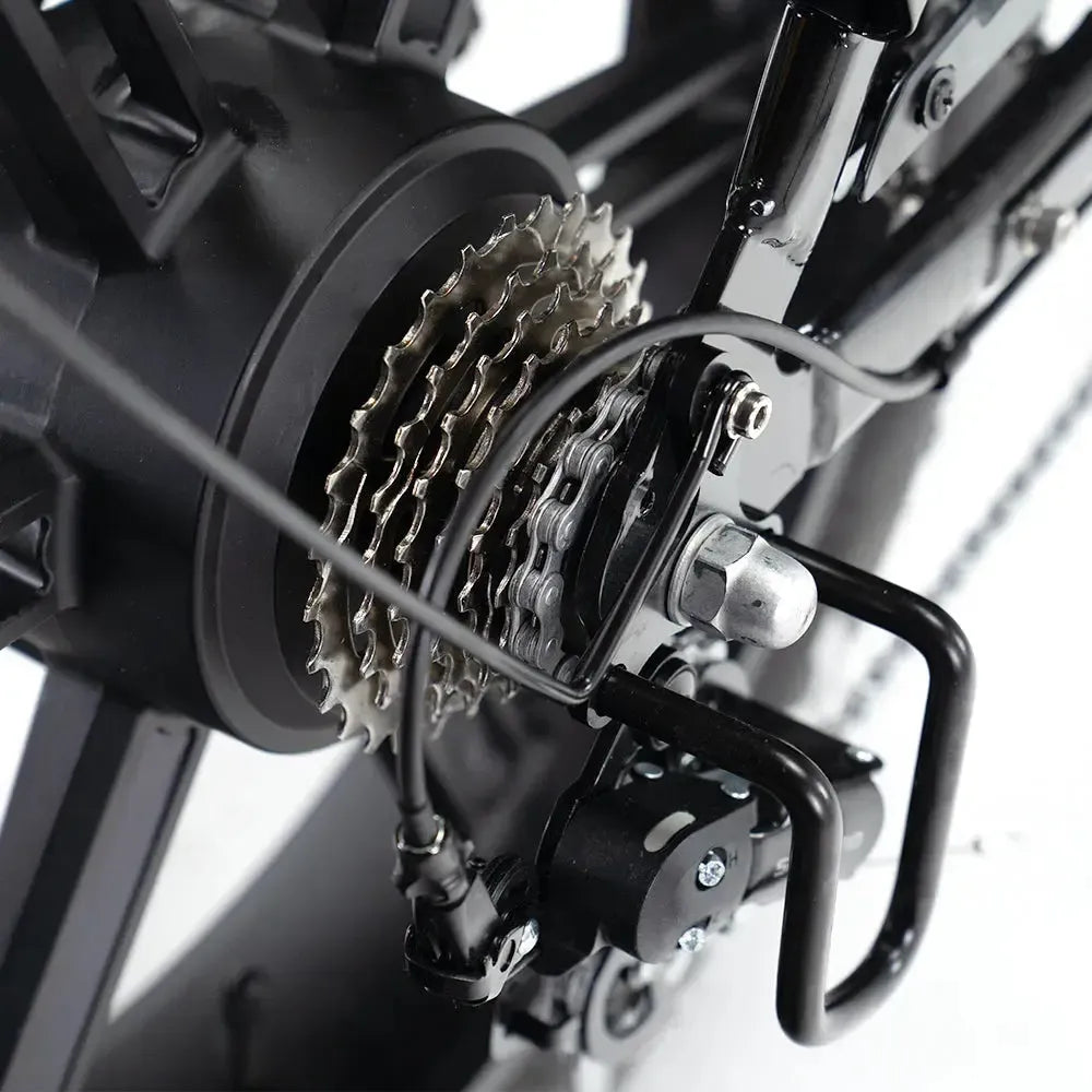 C80 Max - 2 Batteries